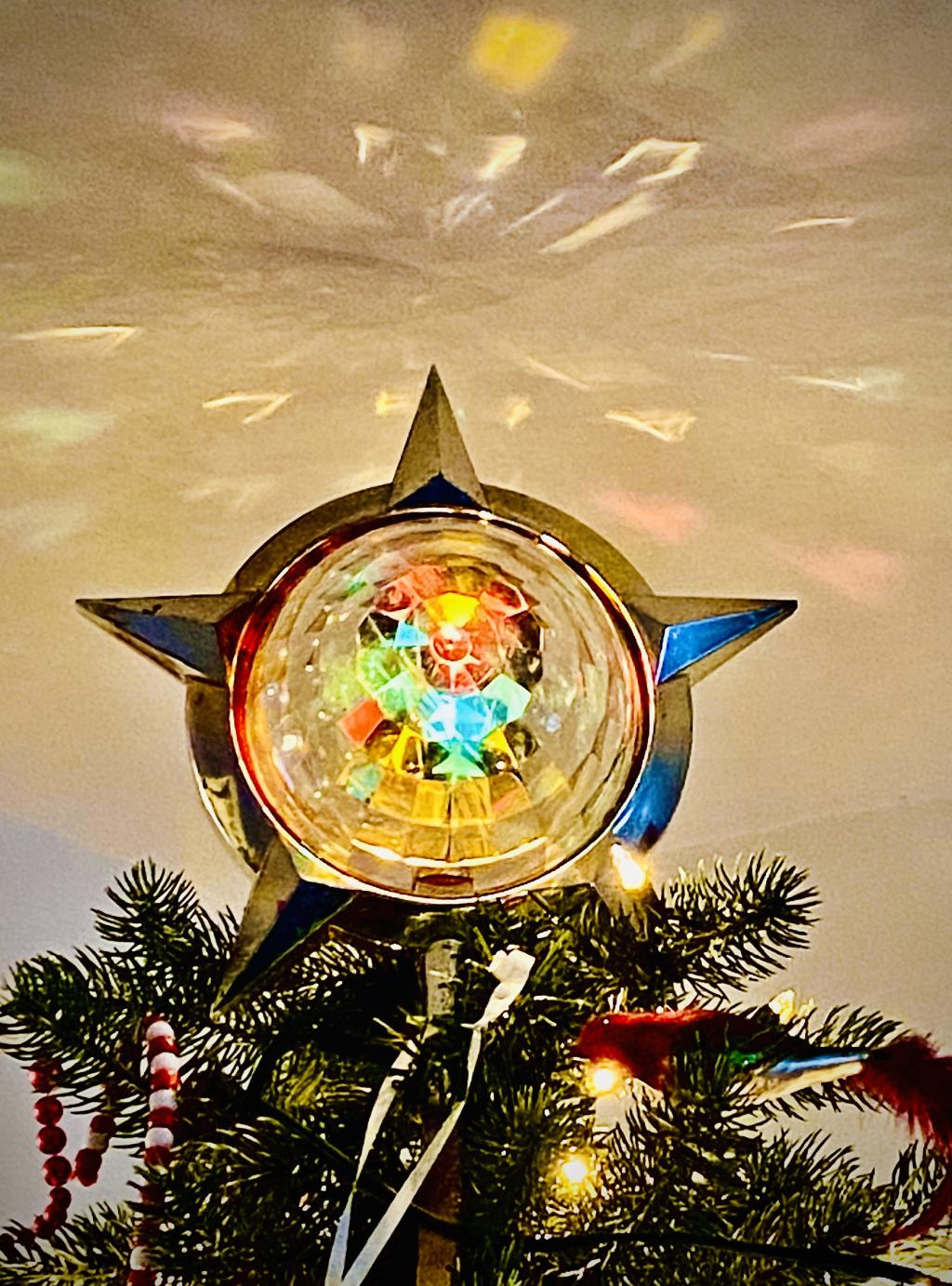 Photo of a treetop that is from the 1960s or 70s