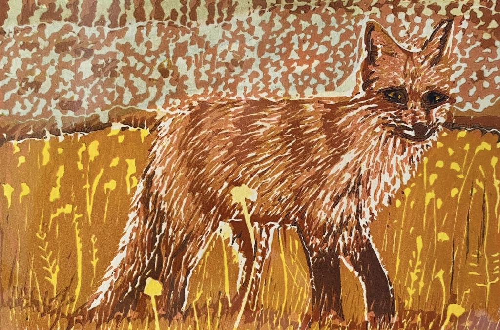 A relief print of a red fox in a field, looking at the viewer.
