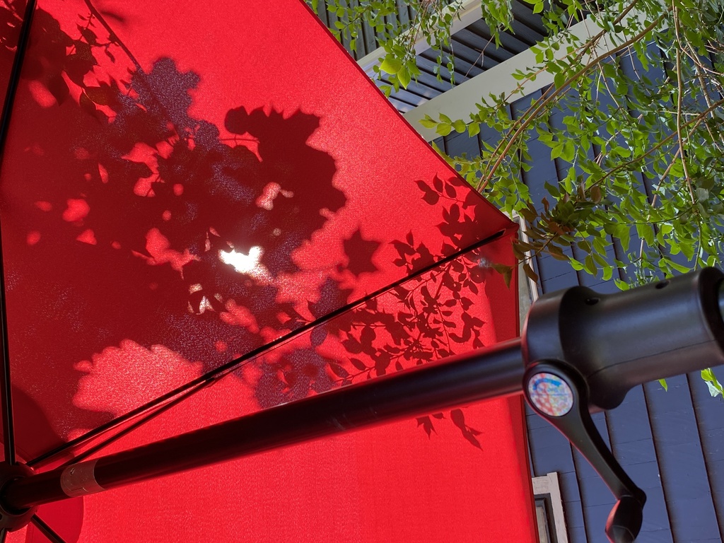Leaf shadows on our umbrella. 
