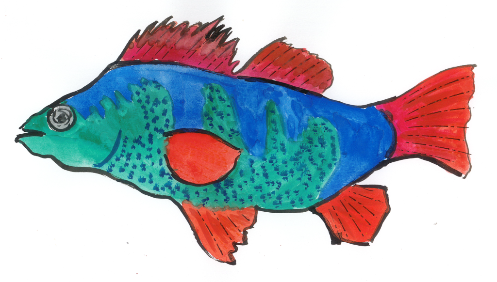 My sketch of a Perch