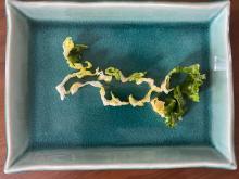 PEI map made from lettuce